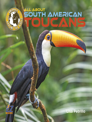 cover image of All About South American Toucans